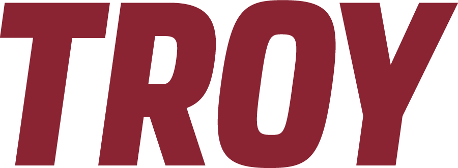 Troy Trojans 2019-Pres Wordmark Logo iron on transfers for T-shirts